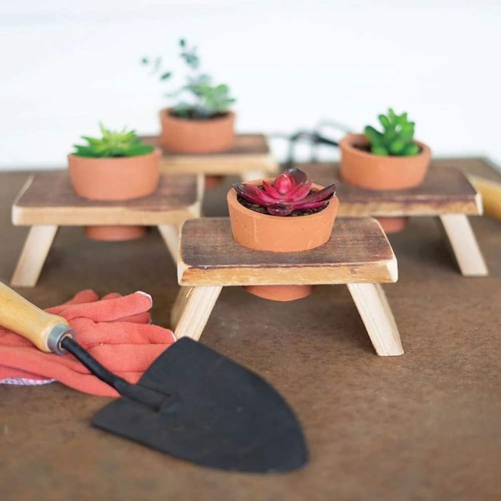 Set of 4 Recycled Wooden Risers with Recessed Terracotta Flower Pots
